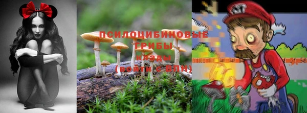 МДПВ Баксан