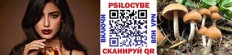 Галлюциногенные грибы Cubensis Купить где Луза